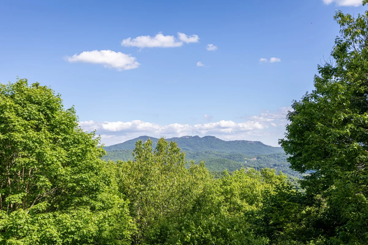A panoramic summer or autumn view of distant mountains, lush green trees, and a bright blue sky. The scene evokes tranquility and the vibrant seasonal changes the area is known for, from hiking and wildflower spotting in spring and summer to colorful foliage in fall.